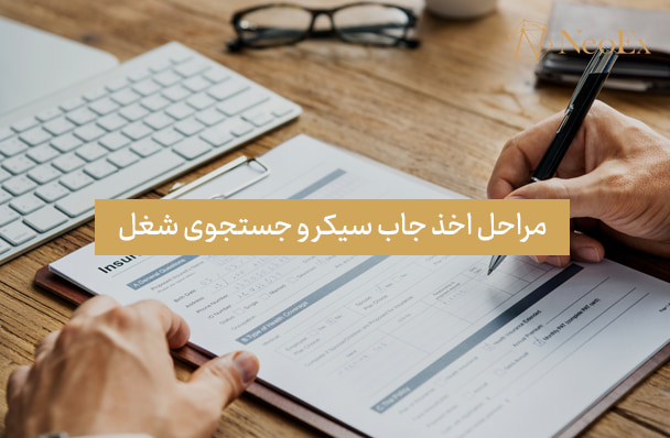 کدام کشورها ویزای جاب سیکر صادر می کنند؟
