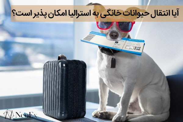انتقال حیوان خانگی به استرالیا